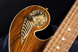 Lightwight Guittar Thunderchild Veloce custom guitar - Rare Wild Local Salvaged Rosewood