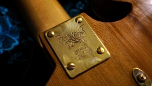 Handmade Guitar- Rare Wild Local Salvaged Rosewood - Neck plate
