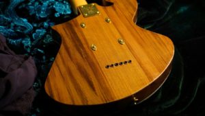Handmade Guitar- Rare Wild Local Salvaged Rosewood - Neck plate