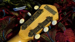 Handmade Guitar- Rare Wild Local Salvaged Rosewood - Headstock